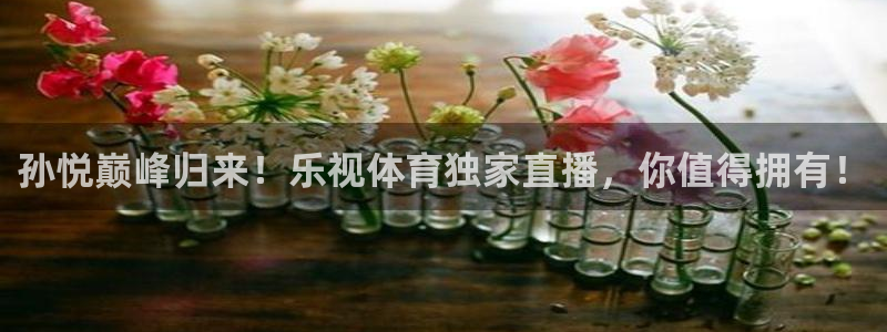 乐球直播无插件在线观看：孙悦巅峰归来！乐视体育独家直播，你值得拥有！