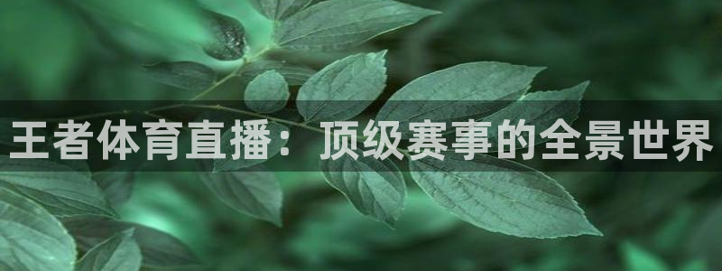 乐球直播免费高清观看法乙：王者体育直播：顶级赛事的全景世界