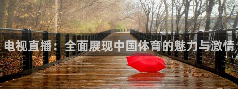 jrs直播乐球：电视直播：全面展现中国体育的魅力与激情