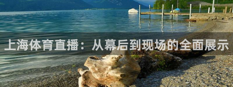 nba直播比赛观看乐球：上海体育直播：从幕后到现场的全面展示