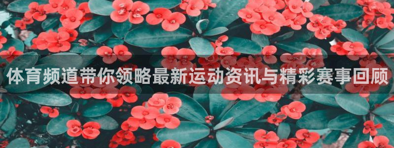 足球直播乐球直播：体育频道带你领略最新运动资讯与精彩赛事回顾