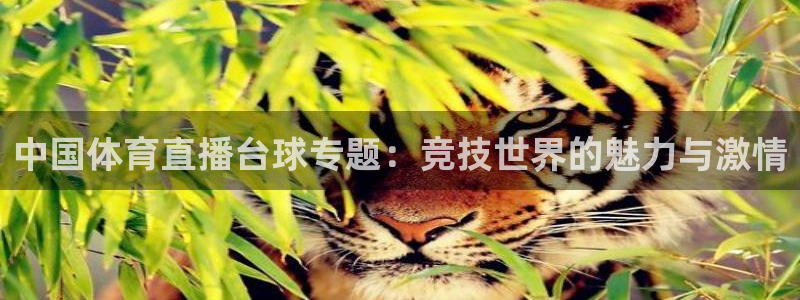 乐球吧直播在线看球：中国体育直播台球专题：竞技世界的魅力与激情