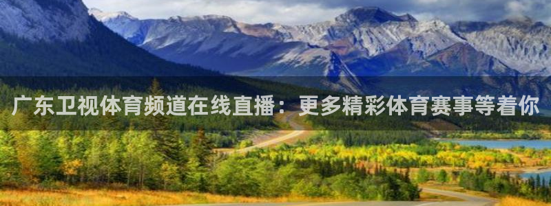 乐球体育直播免费在线观看：广东卫视体育频道在线直播：更多精彩体育赛事等着你