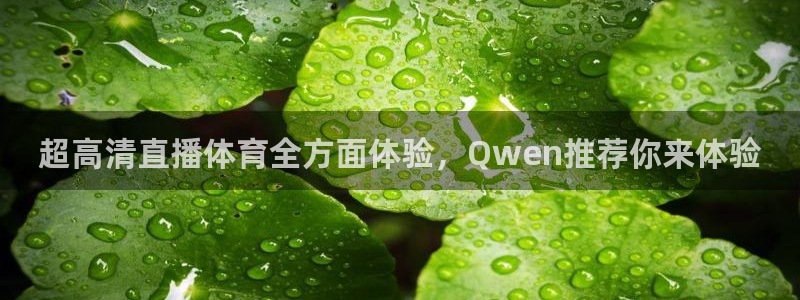nba直播在线直播乐球：超高清直播体育全方面体验，Qwen推荐你来体验
