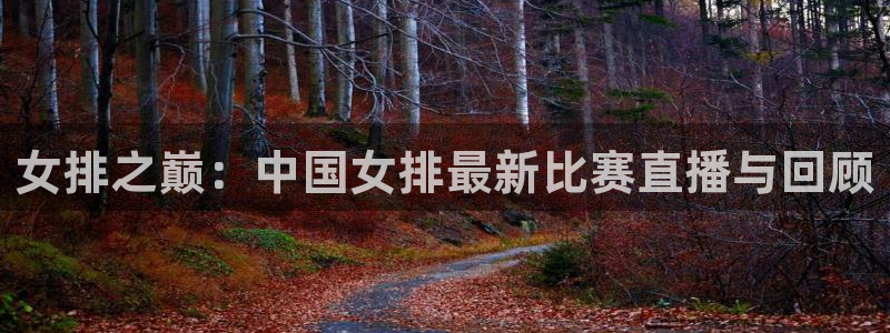 乐球直播入口：女排之巅：中国女排最新比赛直播与回顾