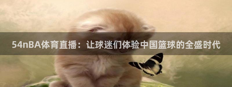 乐球体育：54nBA体育直播：让球迷们体验中国篮球的全盛时代